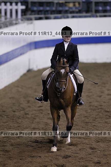 Proof 11r13_4493