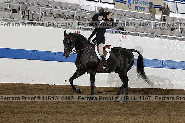 Proof 11r13_4497