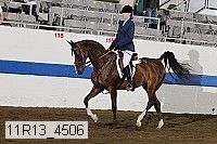 11r13_4506 proof