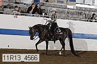 11r13_4566 proof