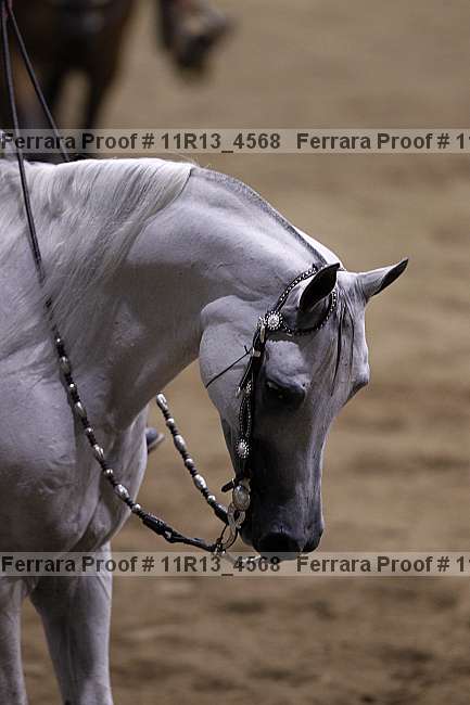 Proof 11r13_4568