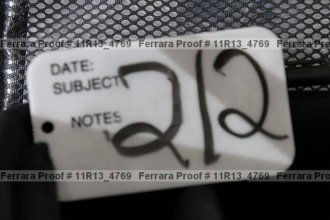 Proof 11r13_4769