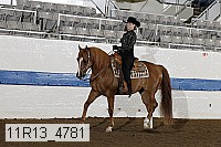 11r13_4781 proof