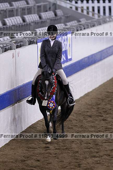 Proof 11r13_4999