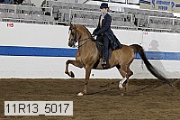 11r13_5017 proof