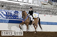 11r13_5119 proof