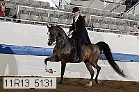 11r13_5131 proof