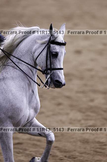 Proof 11r13_5143