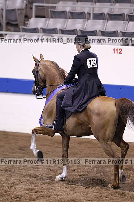 Proof 11r13_5193