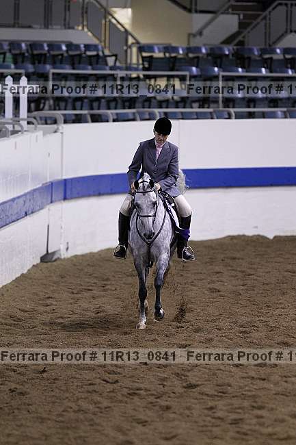 Proof 11r13_0841