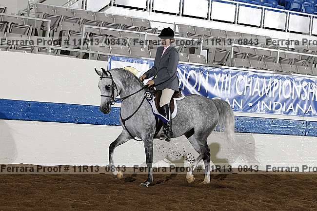 Proof 11r13_0843