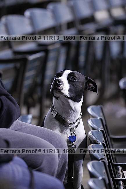 Proof 11r13_1980