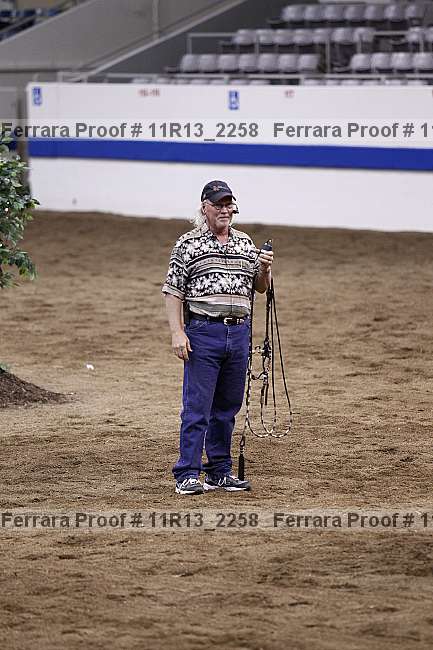 Proof 11r13_2258