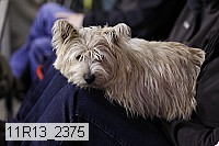 11r13_2375 proof