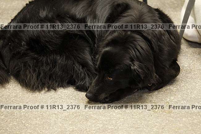 Proof 11r13_2376