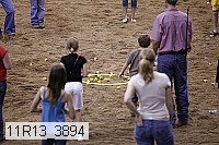 11r13_3894 proof