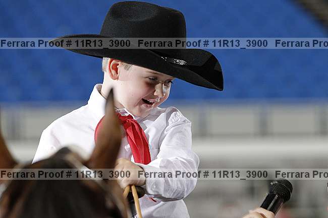 Proof 11r13_3900