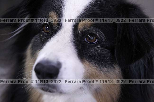 Proof 11r13_3922