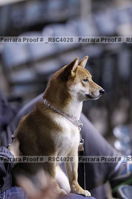 Proof _r8c4028