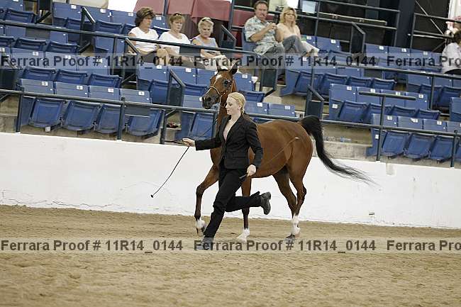 Proof 11r14_0144