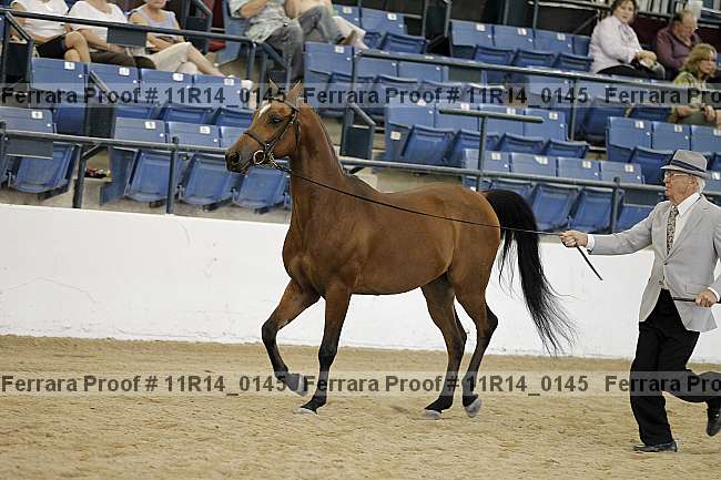 Proof 11r14_0145