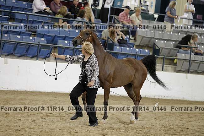 Proof 11r14_0146