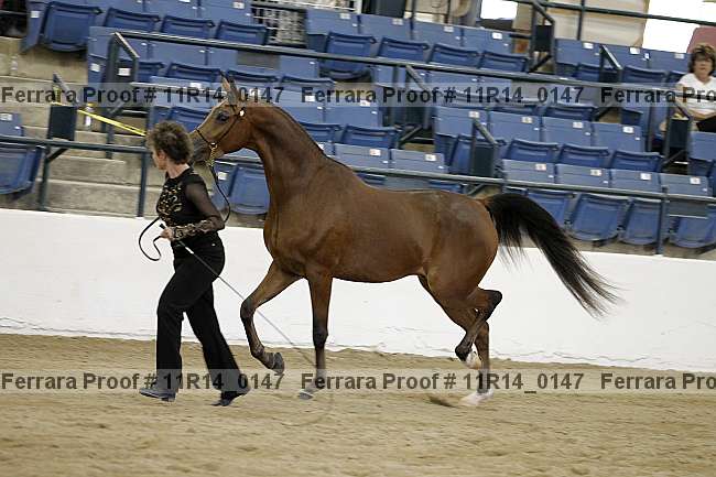 Proof 11r14_0147