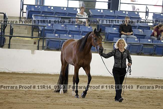 Proof 11r14_0149