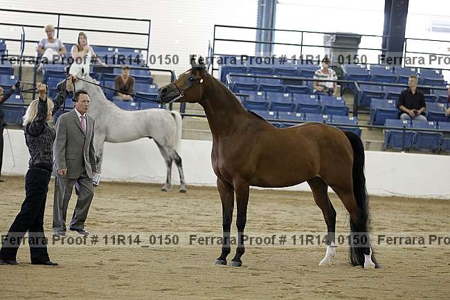 Proof 11r14_0150
