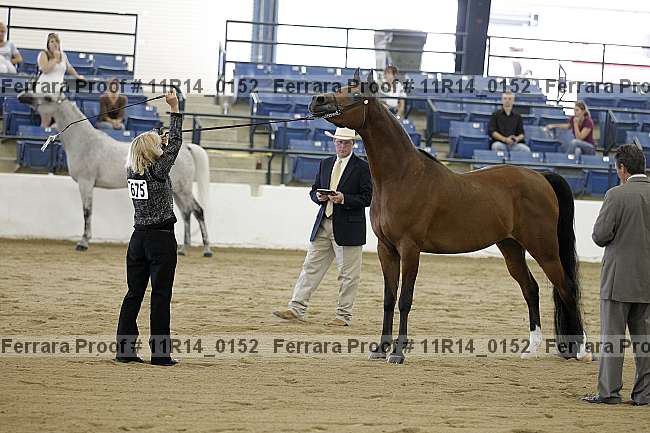 Proof 11r14_0152