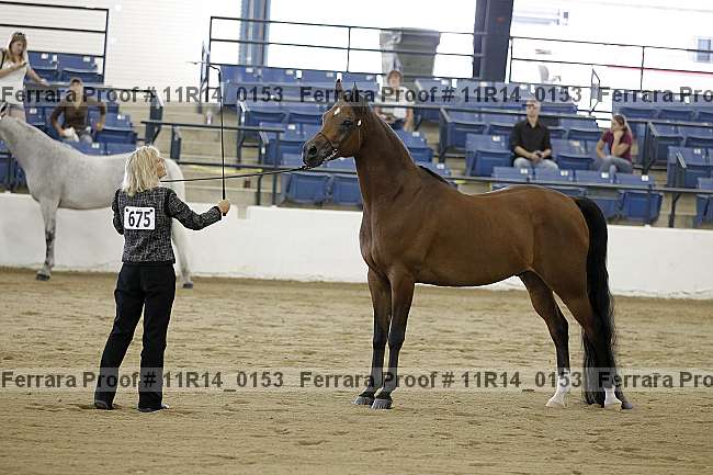 Proof 11r14_0153