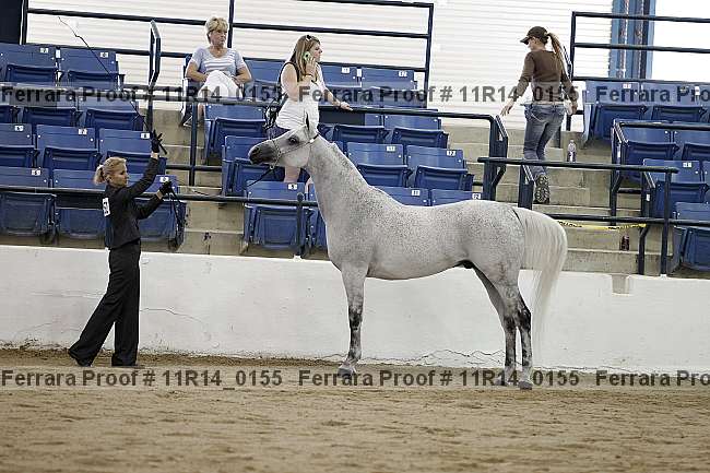 Proof 11r14_0155