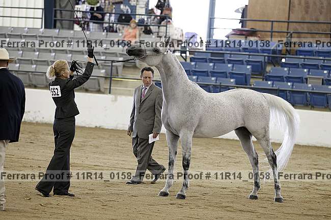Proof 11r14_0158