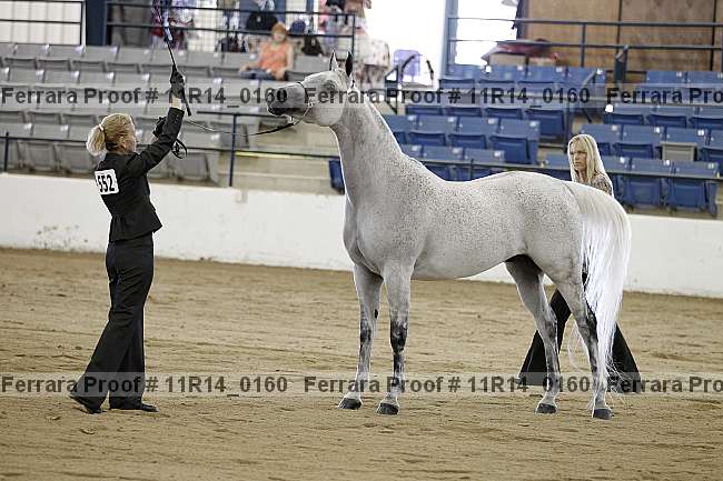 Proof 11r14_0160