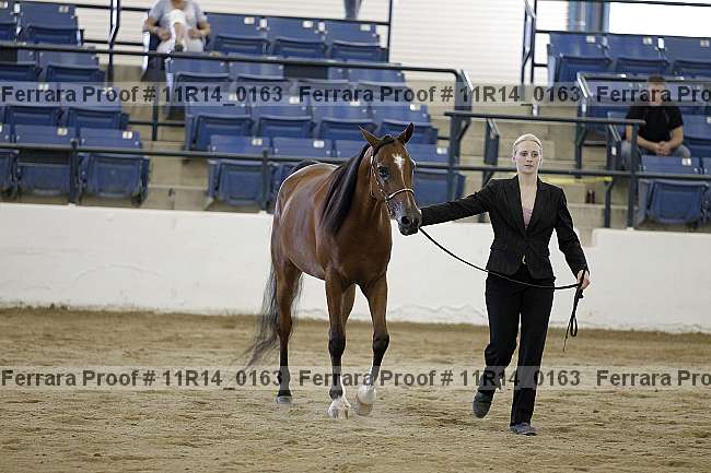 Proof 11r14_0163