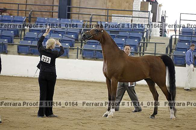 Proof 11r14_0164