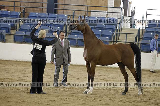 Proof 11r14_0165