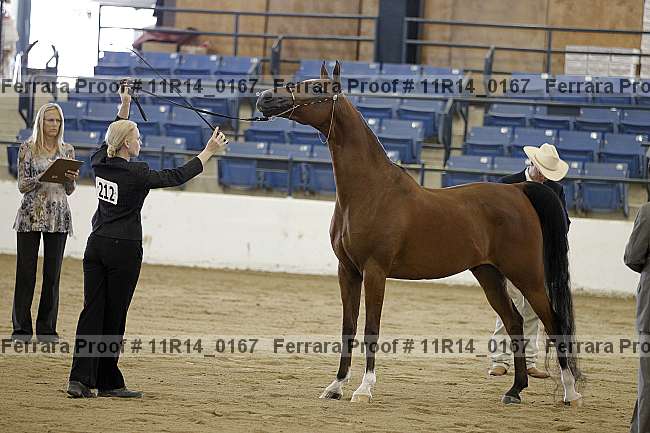 Proof 11r14_0167