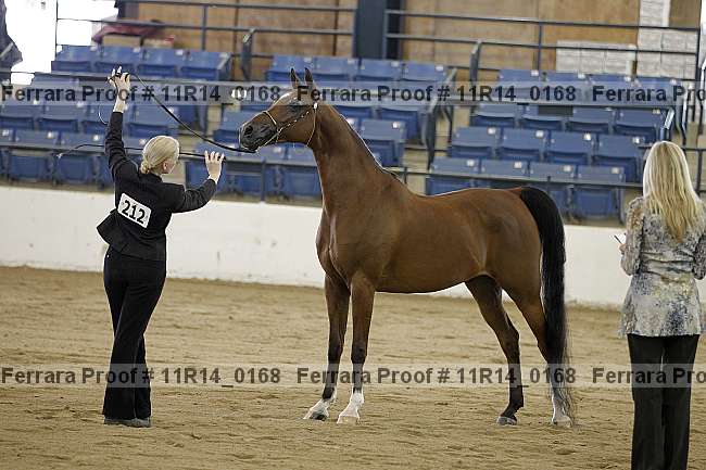 Proof 11r14_0168