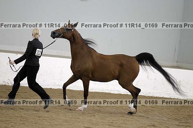 Proof 11r14_0169