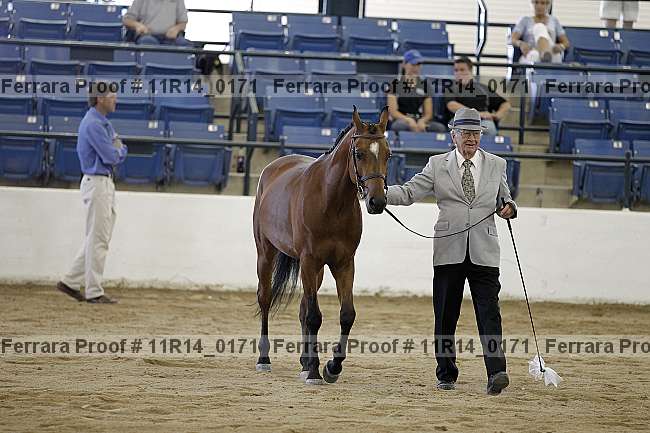 Proof 11r14_0171