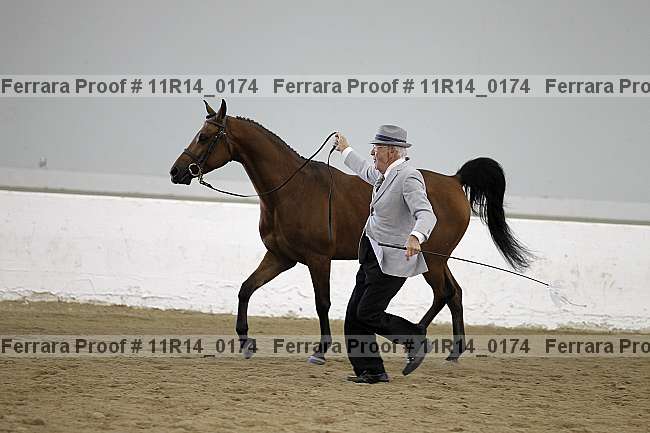 Proof 11r14_0174