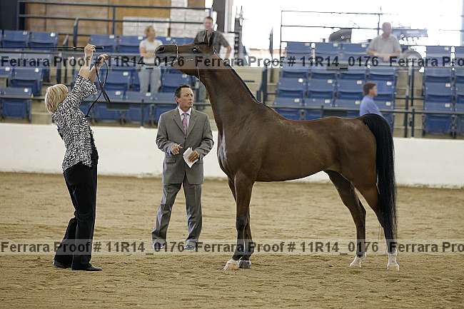 Proof 11r14_0176