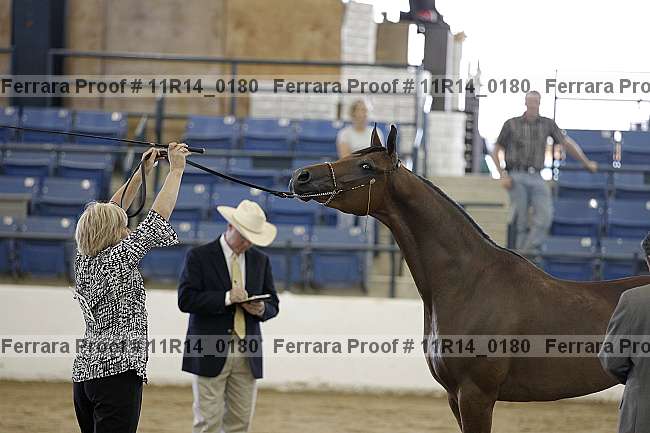 Proof 11r14_0180