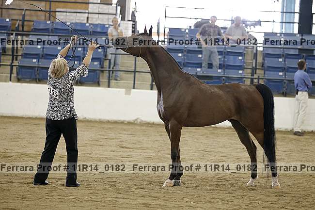 Proof 11r14_0182