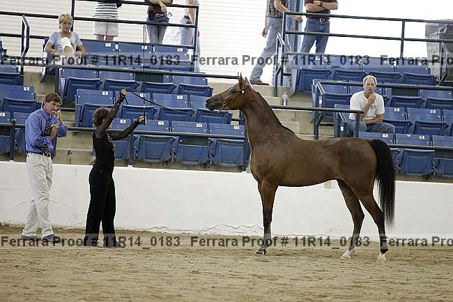 Proof 11r14_0183