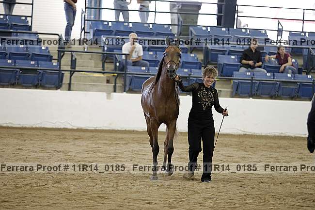 Proof 11r14_0185