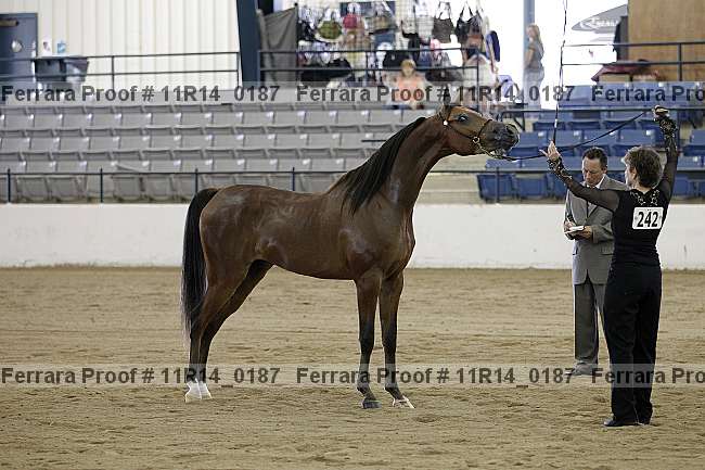 Proof 11r14_0187