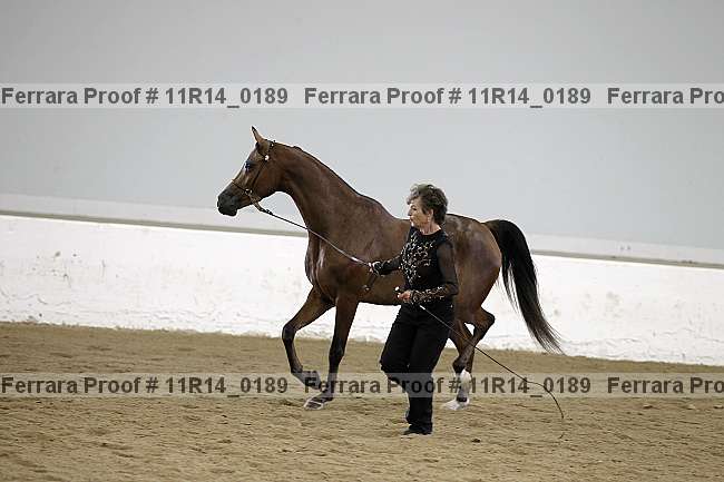 Proof 11r14_0189