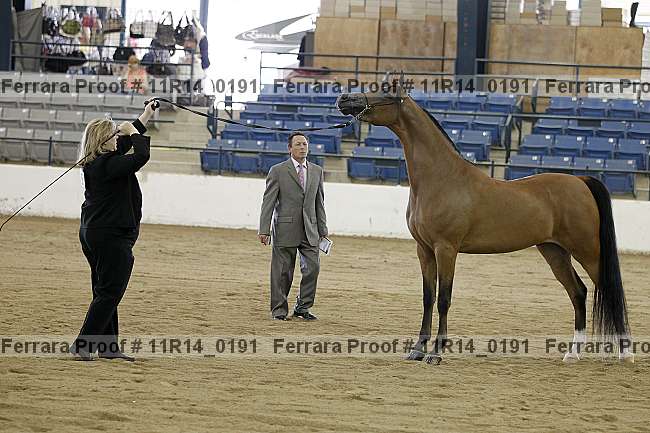 Proof 11r14_0191